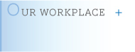 Our Workplace